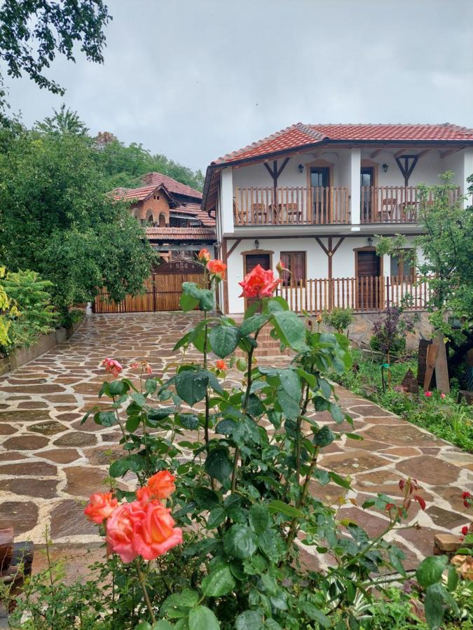 Golemi Kamik Pirot Vlasi Ngoại thất bức ảnh